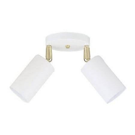 Westinghouse 2 LGT WHT Ceil Fixture 66682